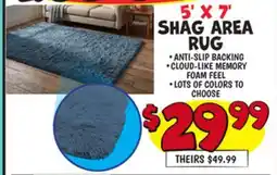 Ollie's 5' X 7' SHAG AREA RUG offer
