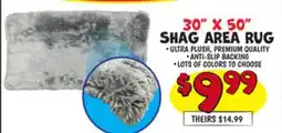 Ollie's 30 X 50 SHAG AREA RUG offer