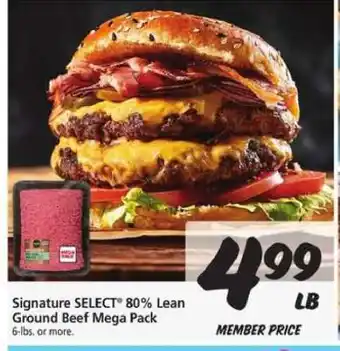 Safeway Signature SELECT 80% Lean Ground Beef Mega Pack offer