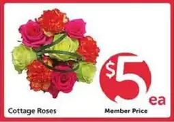 Safeway Cottage Roses offer