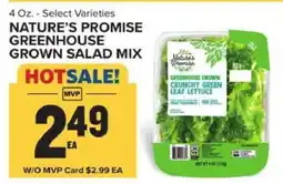 Food Lion Nature's Promise Greenhouse Grown Salad Mix offer