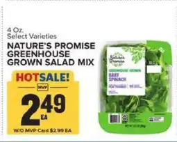 Food Lion Nature's Promise Greenhouse Grown Salad Mix offer