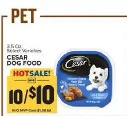 Food Lion Cesar Dog Food offer