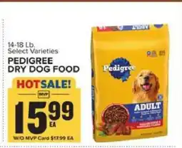 Food Lion Pedigree Dry Dog Food offer
