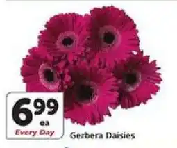 Albertsons Gerbera Daisies offer