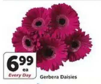 Albertsons Gerbera Daisies offer