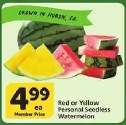 Albertsons Red or Yellow Personal Seedless Watermelon offer