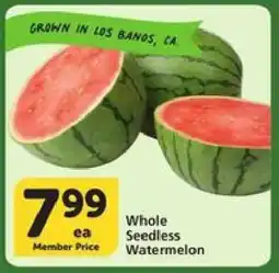 Albertsons Whole Seedless Watermelon offer