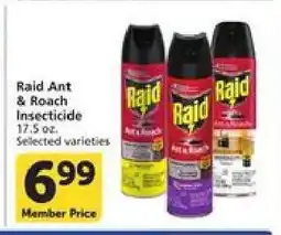 Albertsons Raid Ant & Roach Insecticide offer
