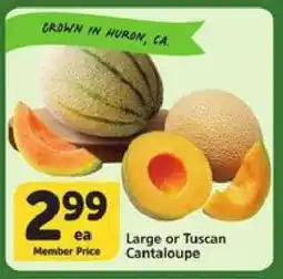 Albertsons Large or Tuscan Cantaloupe offer