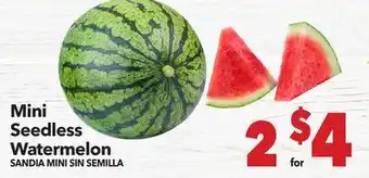 Vallarta Supermarkets Mini Seedless Watermelon / SANDIA MINI SIN SEMILLA offer