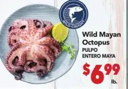 Vallarta Supermarkets Wild Mayan Octopus / PULPO ENTERO MAYA offer