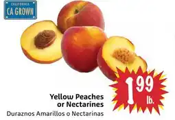 Foodmaxx Yellow Peaches or Nectarines offer