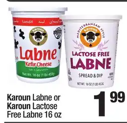 Super King Markets Karoun Labne or Karoun Lactose Free Labne offer