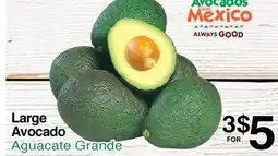 Superior Grocers Large Avocado offer