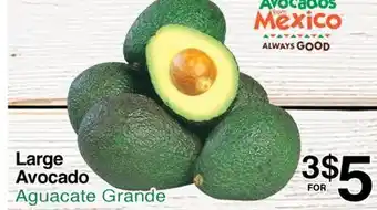 Superior Grocers Large Avocado offer
