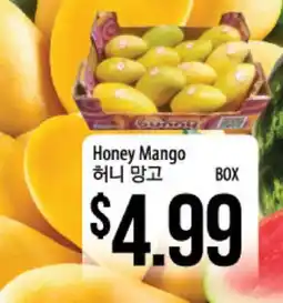 Hmart Honey Mango offer
