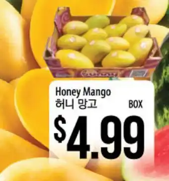 Hmart Honey Mango offer