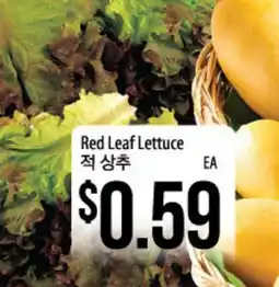 Hmart Red Leaf Lettuce offer