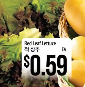 Hmart Red Leaf Lettuce offer