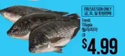 Hmart Fresh Tilapia offer