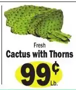 Sellers Bros Fresh Cactus with Thorns offer
