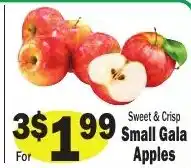 Sellers Bros Small Gala Apples offer