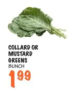 Foodarama Collard Or Mustard Greens Bunch offer