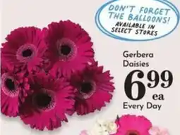 Pavilions Gerbera Daisies offer