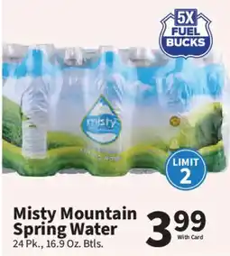 Food City Misty Mountain Spring Water offer