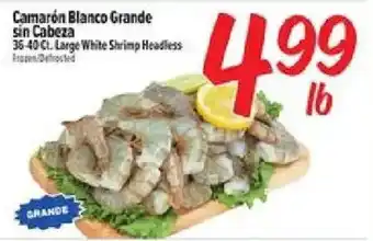 Large White Shrimp Headless