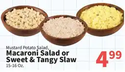 Food City Mustard Potato Salad, Macaroni Salad or Sweet & Tangy Slaw offer