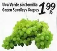 El Super Green Seedless Grapes offer
