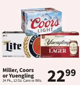 Food City Miller, Coors or Yuengling offer