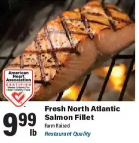 Big Y Fresh North Atlantic Salmon Fillet offer