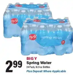 Big Y Big Y Spring Water offer