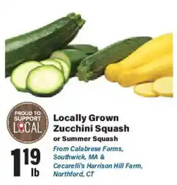Big Y Locally Grown Zucchini Squash or Summer Squash offer