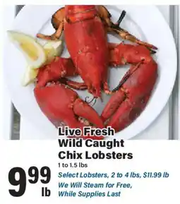 Big Y Live Fresh Wild Caught Chix Lobsters offer