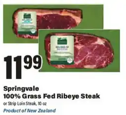 Big Y Springvale 100% Grass Fed Ribeye Steak or Strip Loin Steak offer