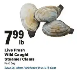 Big Y Live Fresh Wild Caught Steamer Clams offer