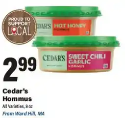 Big Y Cedar's Hommus offer
