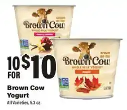 Big Y Brown Cow Yogurt offer