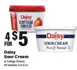 Big Y Daisy Sour Cream or Cottage Cheese offer