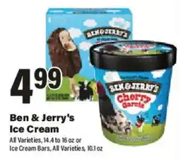 Big Y Ben & Jerry's Ice Cream offer