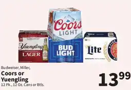 Food City Budweiser, Miller, Coors or Yuengling offer