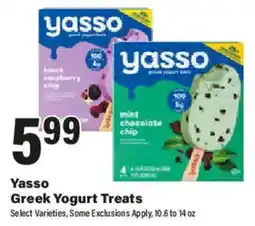 Big Y Yasso Greek Yogurt Treats offer