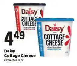 Big Y Daisy Cottage Cheese offer