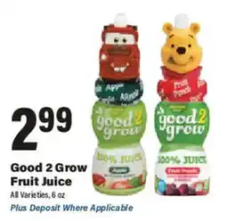 Big Y Good 2 Grow Fruit Juice offer