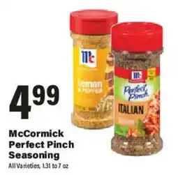Big Y McCormick Perfect Pinch Seasoning offer