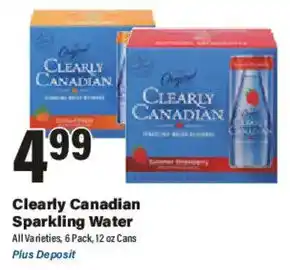 Big Y Clearly Canadian Sparkling Water offer